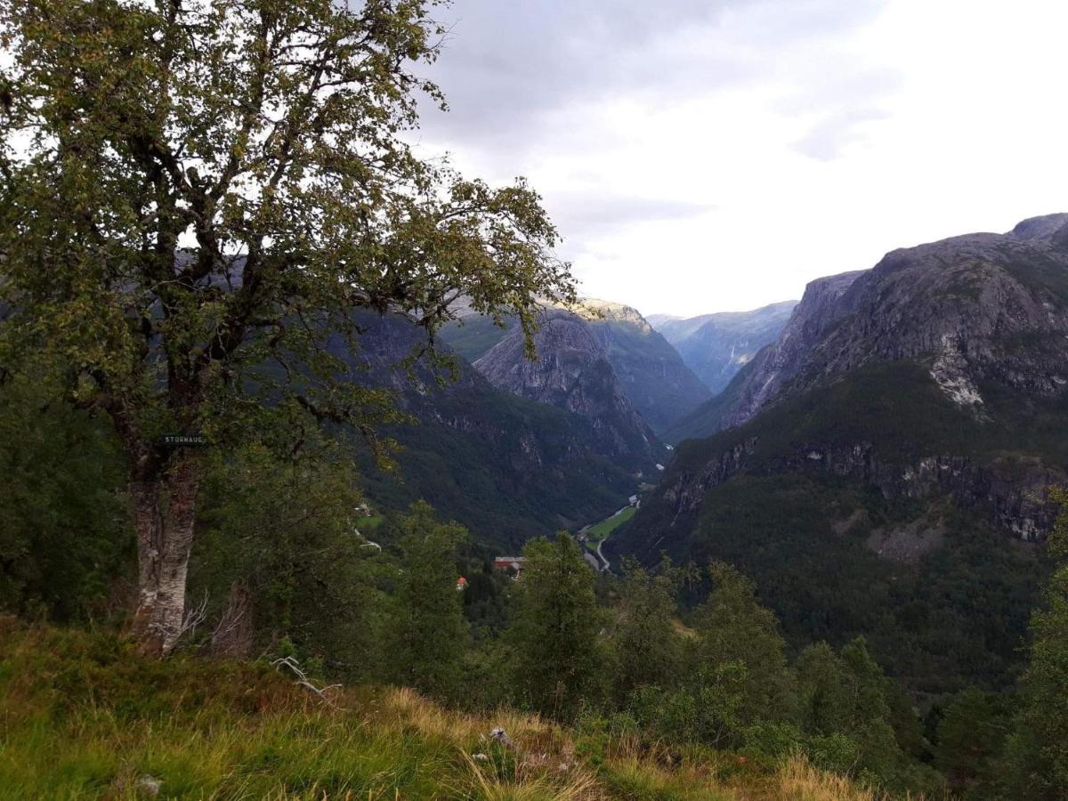Stalheim Fjord Og Fjellhytter エクステリア 写真