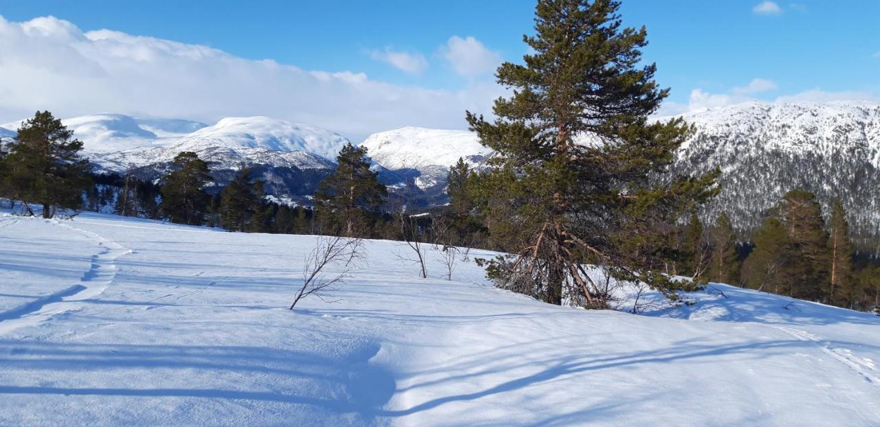 Stalheim Fjord Og Fjellhytter エクステリア 写真