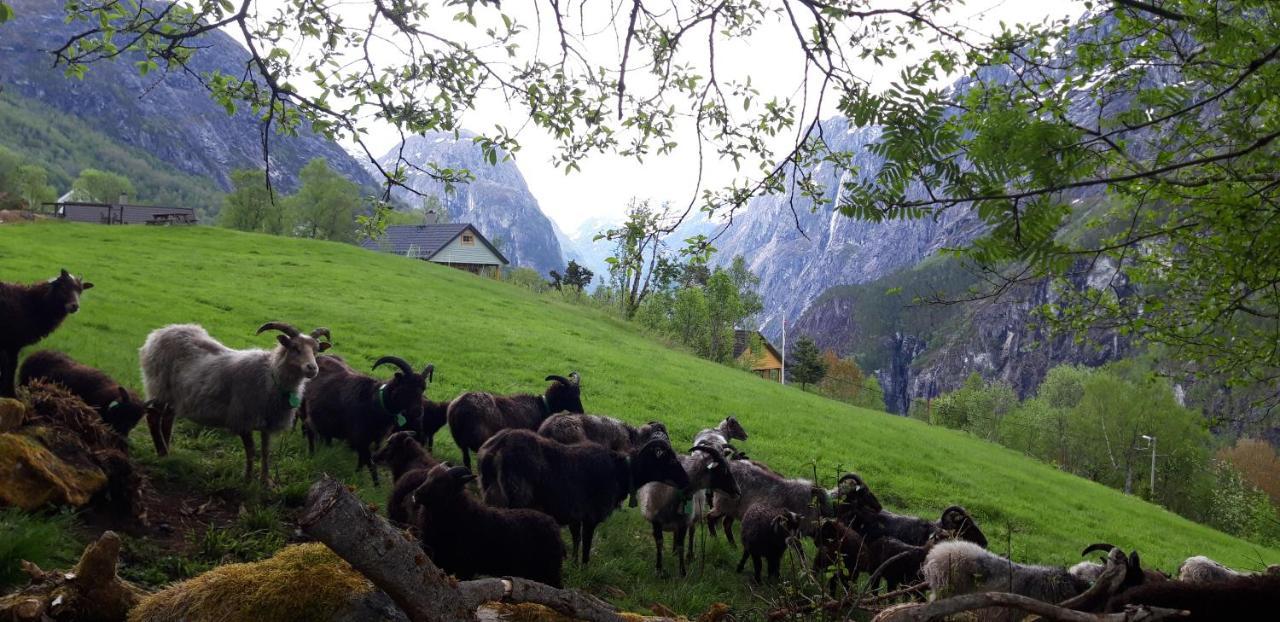 Stalheim Fjord Og Fjellhytter エクステリア 写真