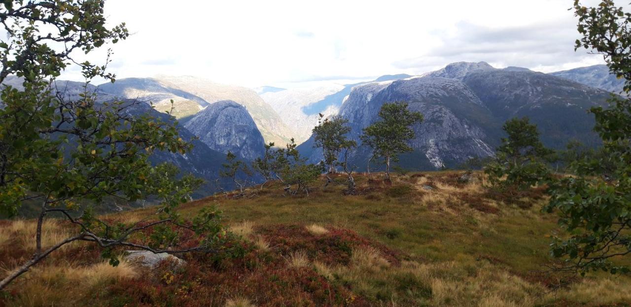 Stalheim Fjord Og Fjellhytter エクステリア 写真