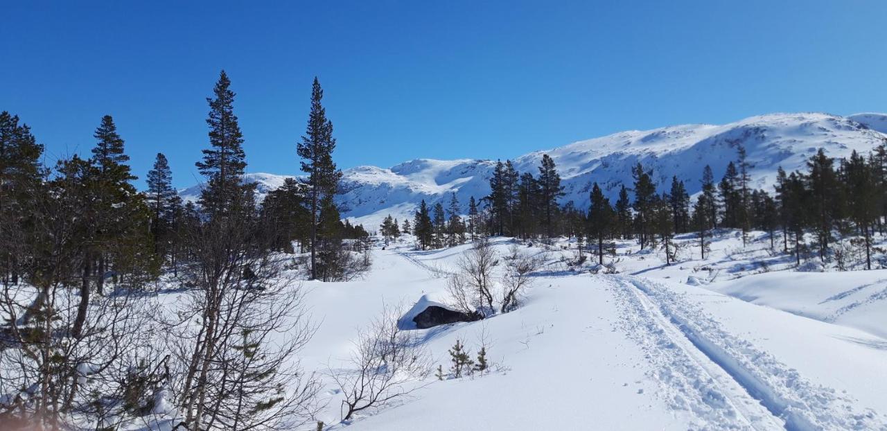 Stalheim Fjord Og Fjellhytter エクステリア 写真